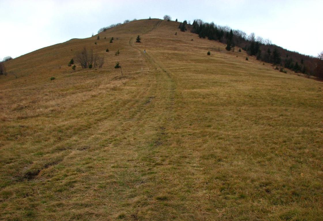 Apartma Zele Postojna Buitenkant foto