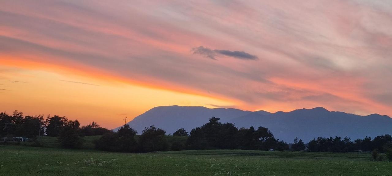 Apartma Zele Postojna Buitenkant foto