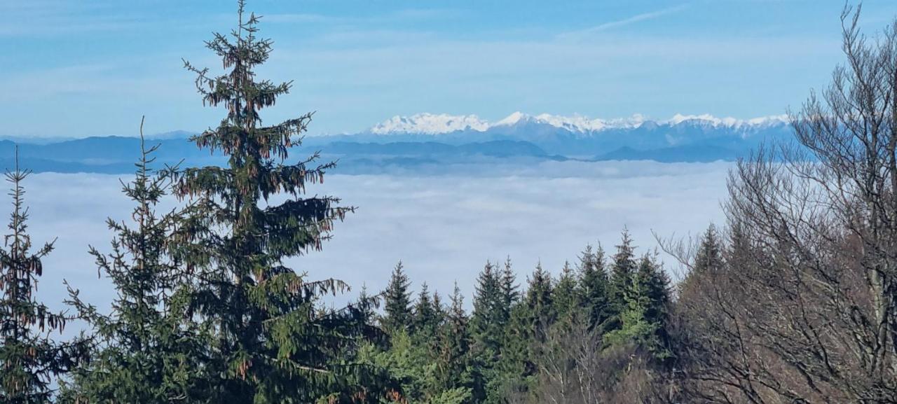 Apartma Zele Postojna Buitenkant foto