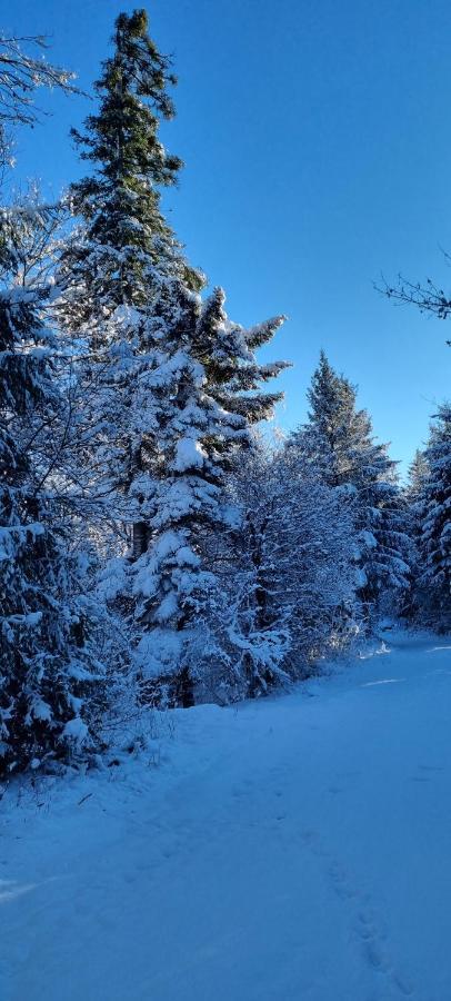 Apartma Zele Postojna Buitenkant foto