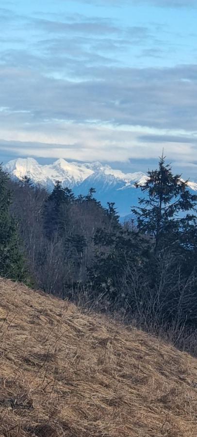 Apartma Zele Postojna Buitenkant foto