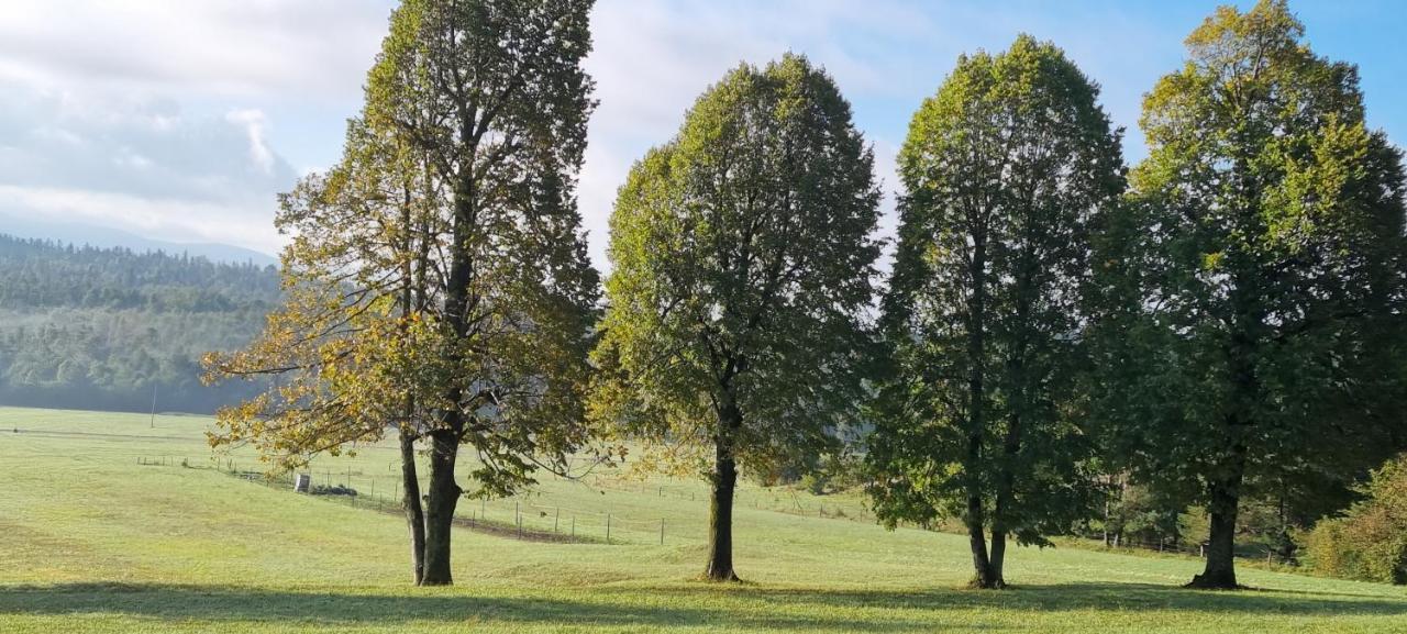 Apartma Zele Postojna Buitenkant foto