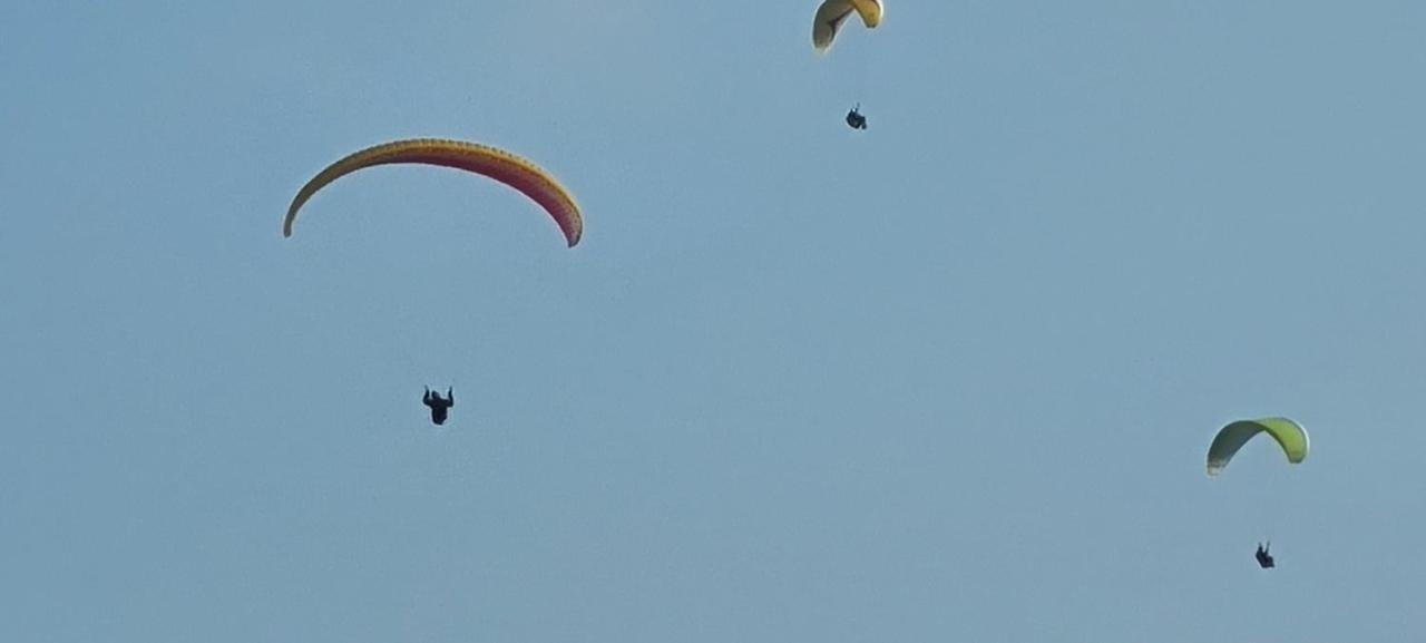 Apartma Zele Postojna Buitenkant foto