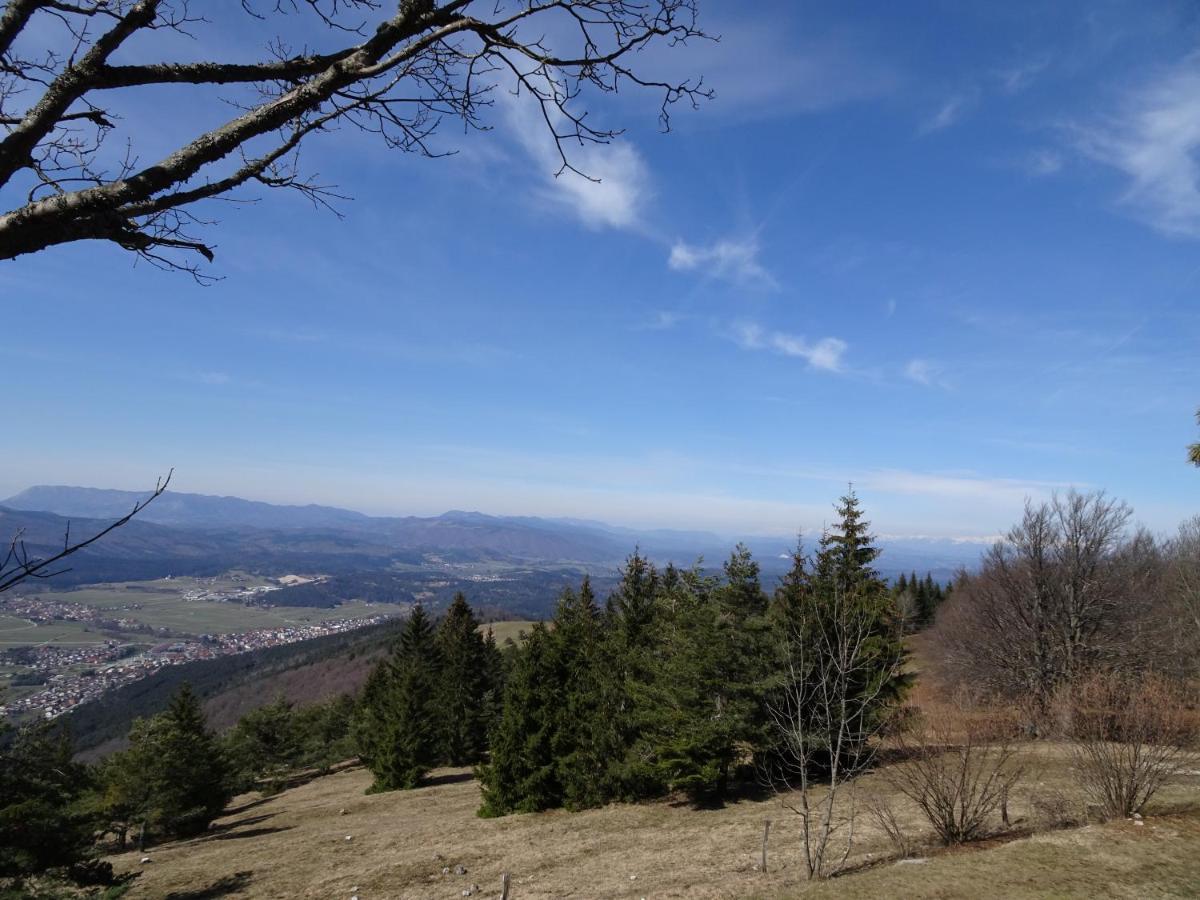 Apartma Zele Postojna Buitenkant foto