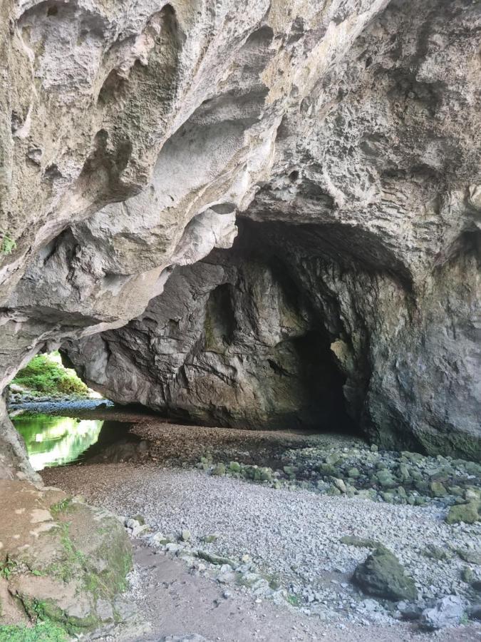 Apartma Zele Postojna Buitenkant foto