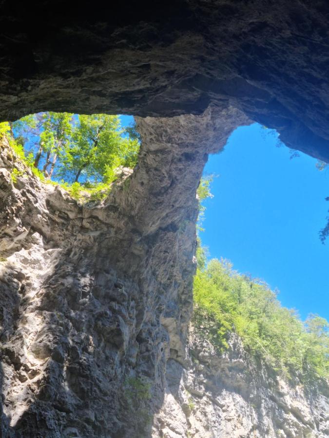Apartma Zele Postojna Buitenkant foto