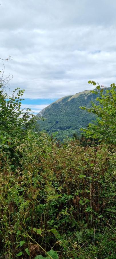 Apartma Zele Postojna Buitenkant foto