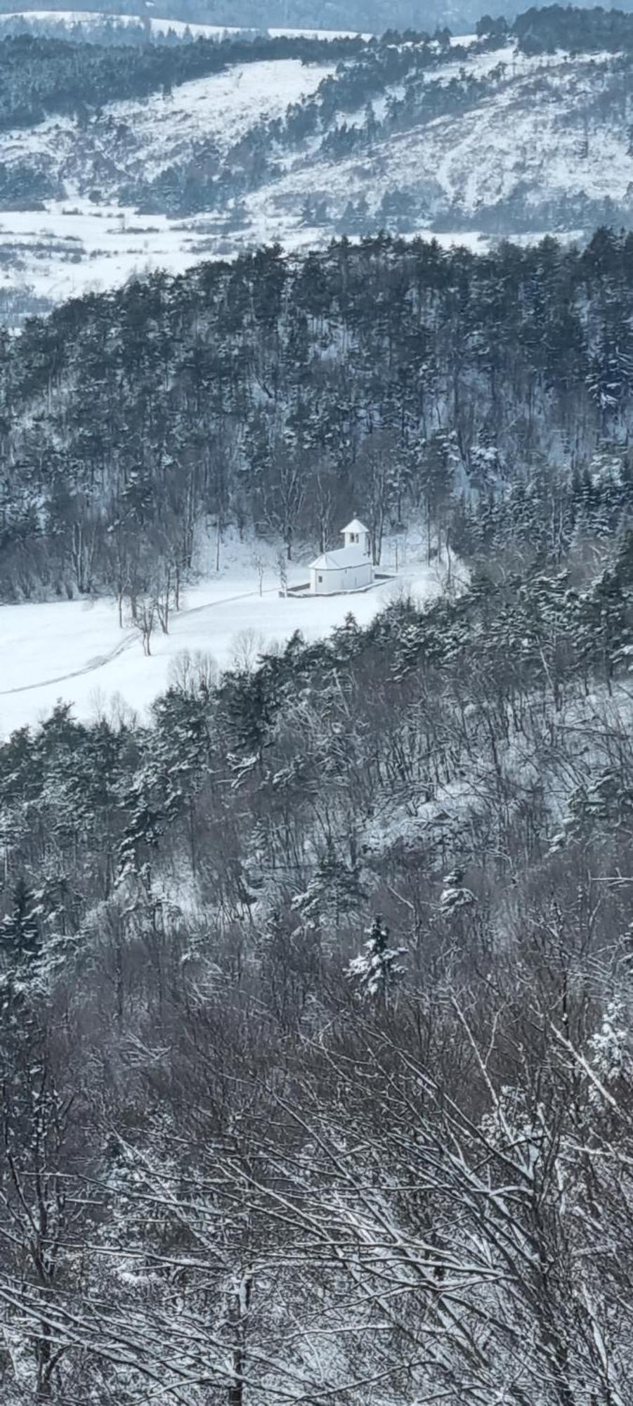 Apartma Zele Postojna Buitenkant foto